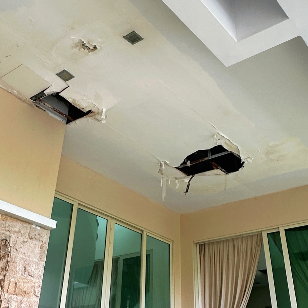 Ceiling with mould and water seepage