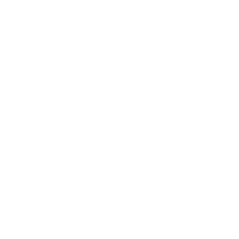 Reno King Logo