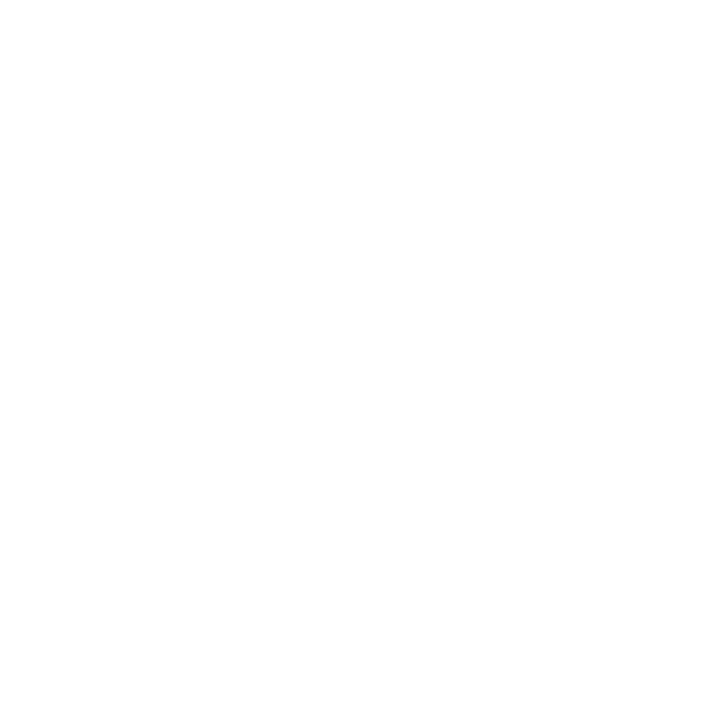 Singapore American School Logo