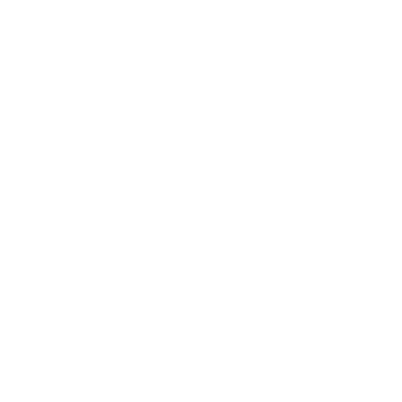 Steinway and Sons Logo