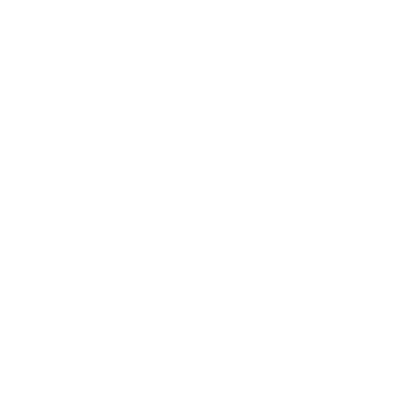 The Straits Times Logo