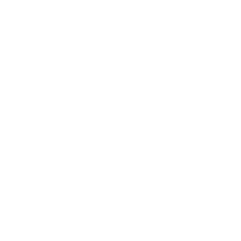 Value Max Group Logo