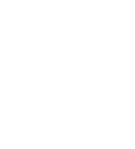 Vwalla Logo