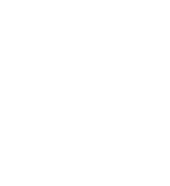 Vwalla Logo